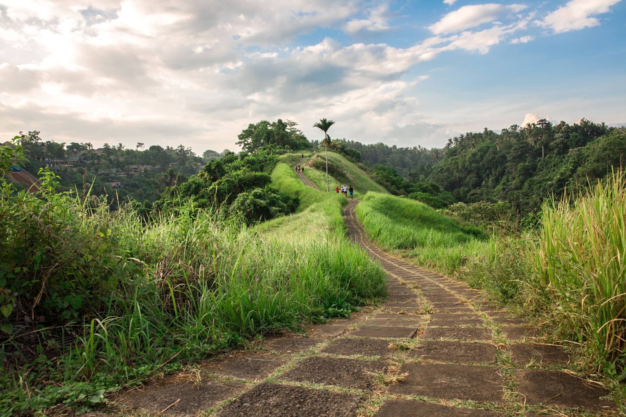 Ubud landscape